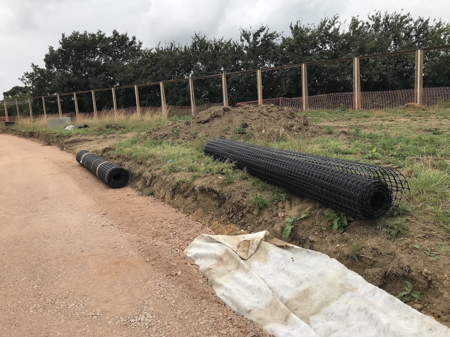 Geogrid on the grass next to road