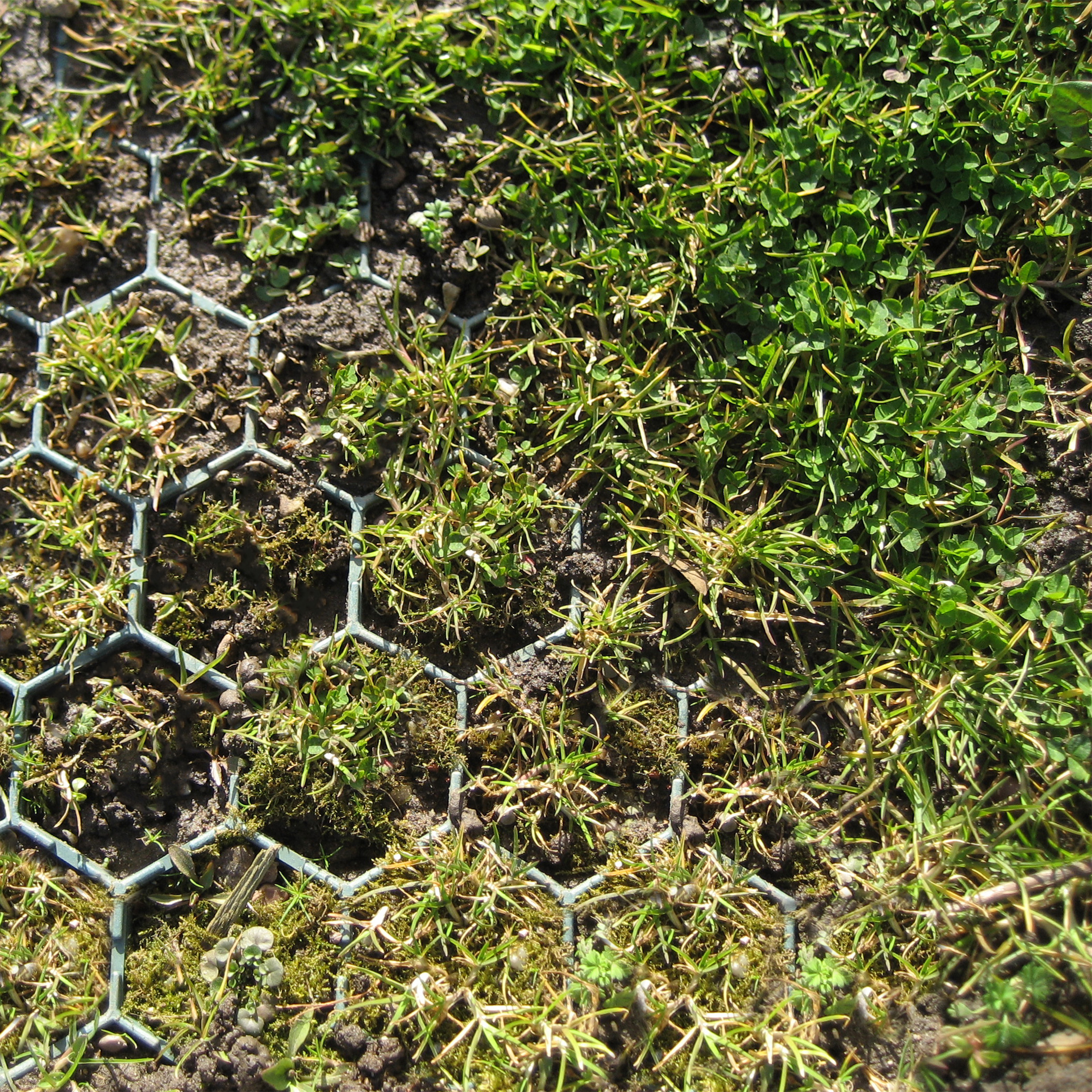 Celltrack geocellular paving embedded within grass