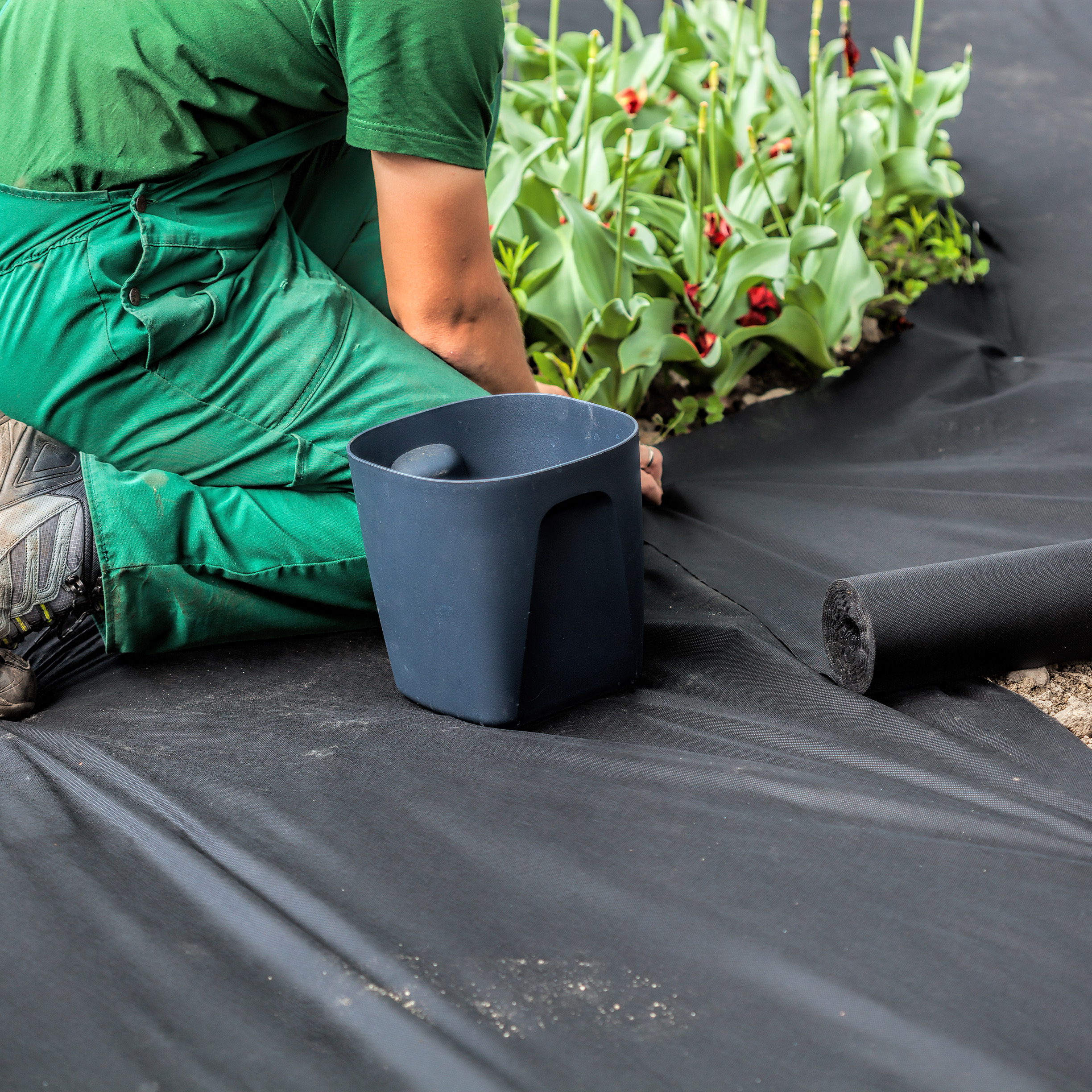 A groundwork landscaper installing a weed control fabric