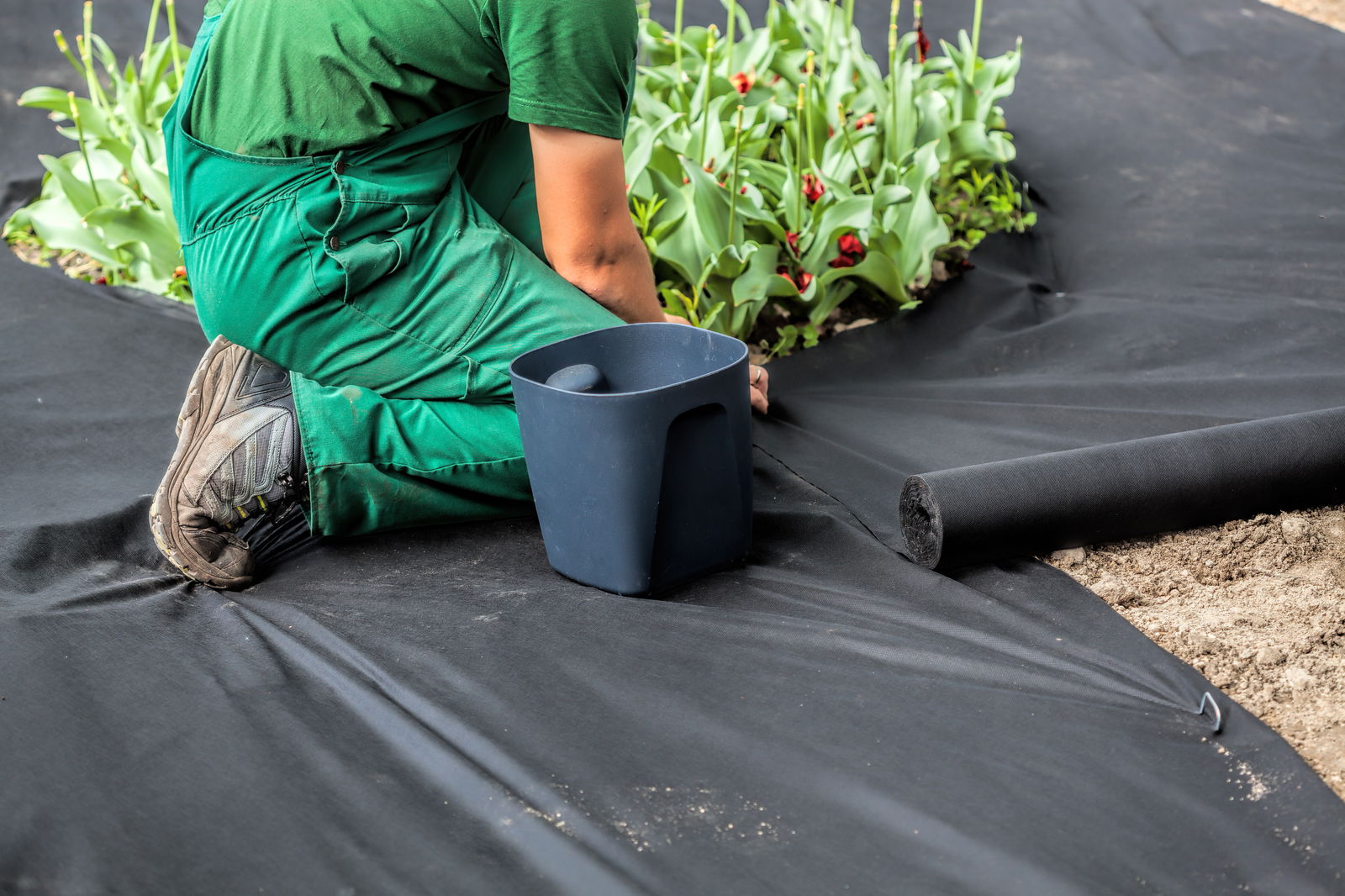 A landscape gardener using weed suppression fabric