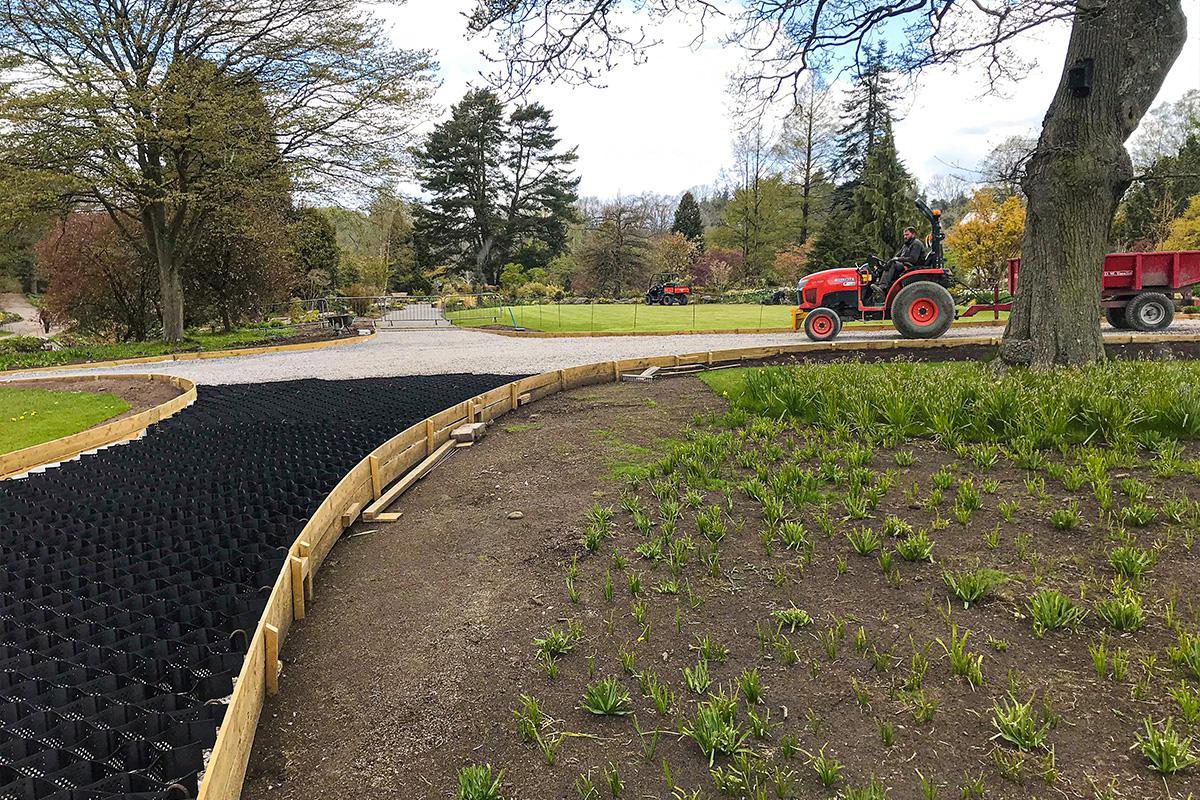 Tree root protection with Protectaweb on a path near trees