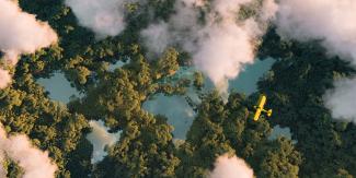 Trees and lakes in the shape of the earths continents