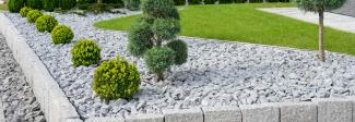 Garden with gravel borders