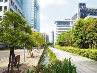 Urban trees