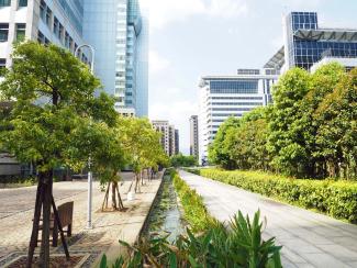 Trees and greenery in an urban setting