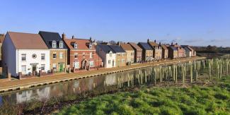 Houses with trees being grown on the development site