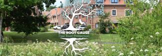 The Root Cause - Tree Root Protection