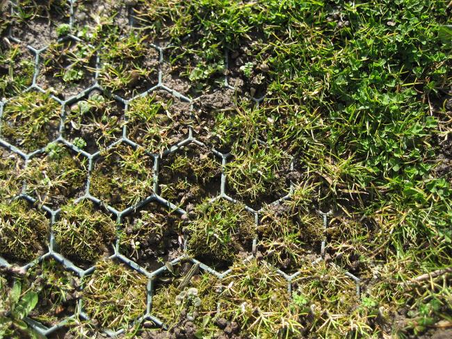 Celltrack geocellular paving embedded within grass