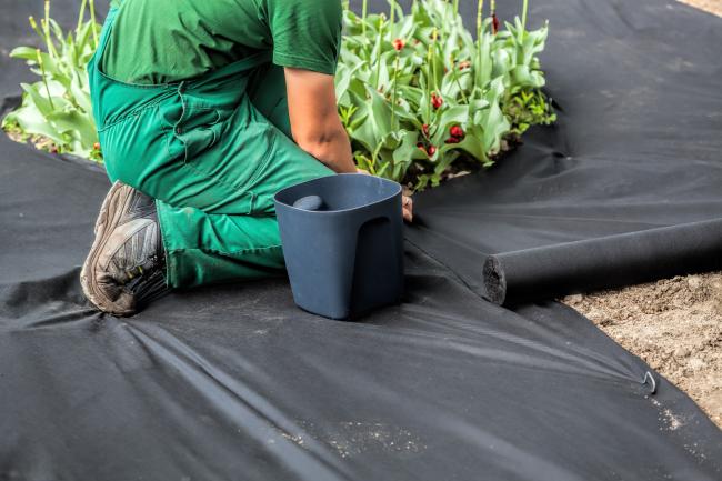 A landscape gardener using weed suppression fabric