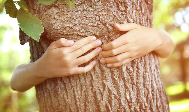 Person hugging tree from behind