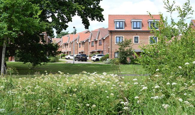 Housing development site